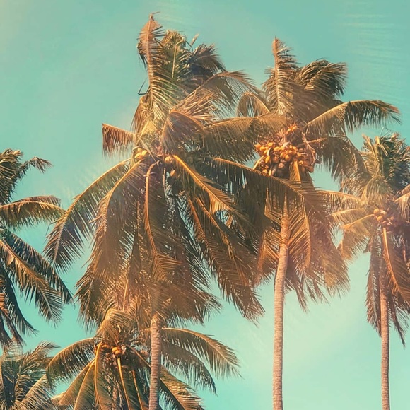 Meet your Posher, Claire - Picture 1 of 1